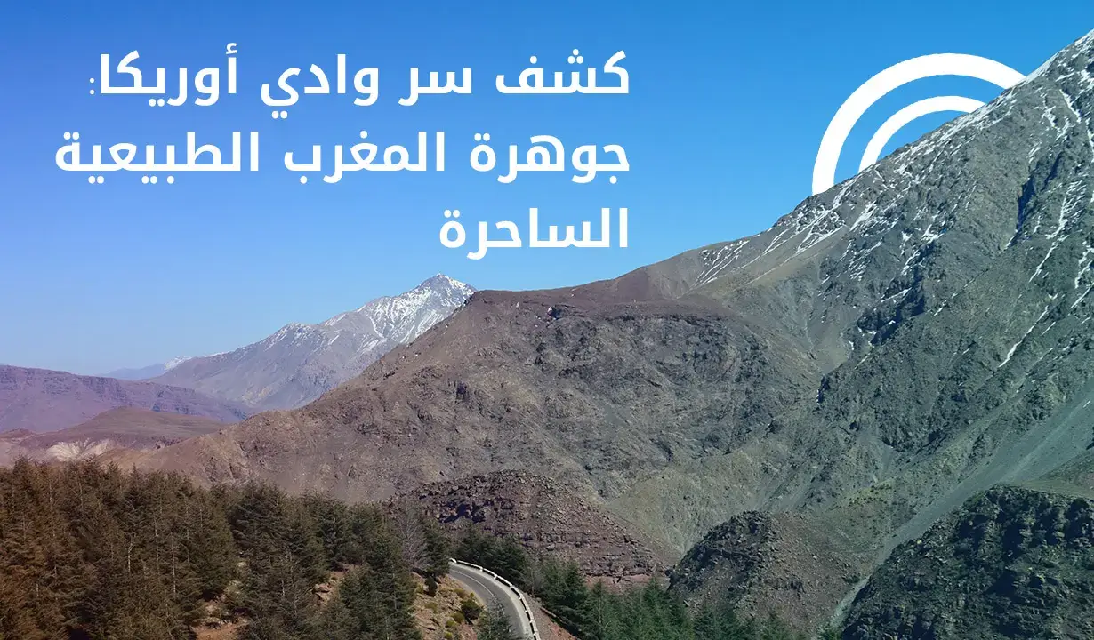 استكشاف الجمال الطبيعي لواد أوريكا في المغرب