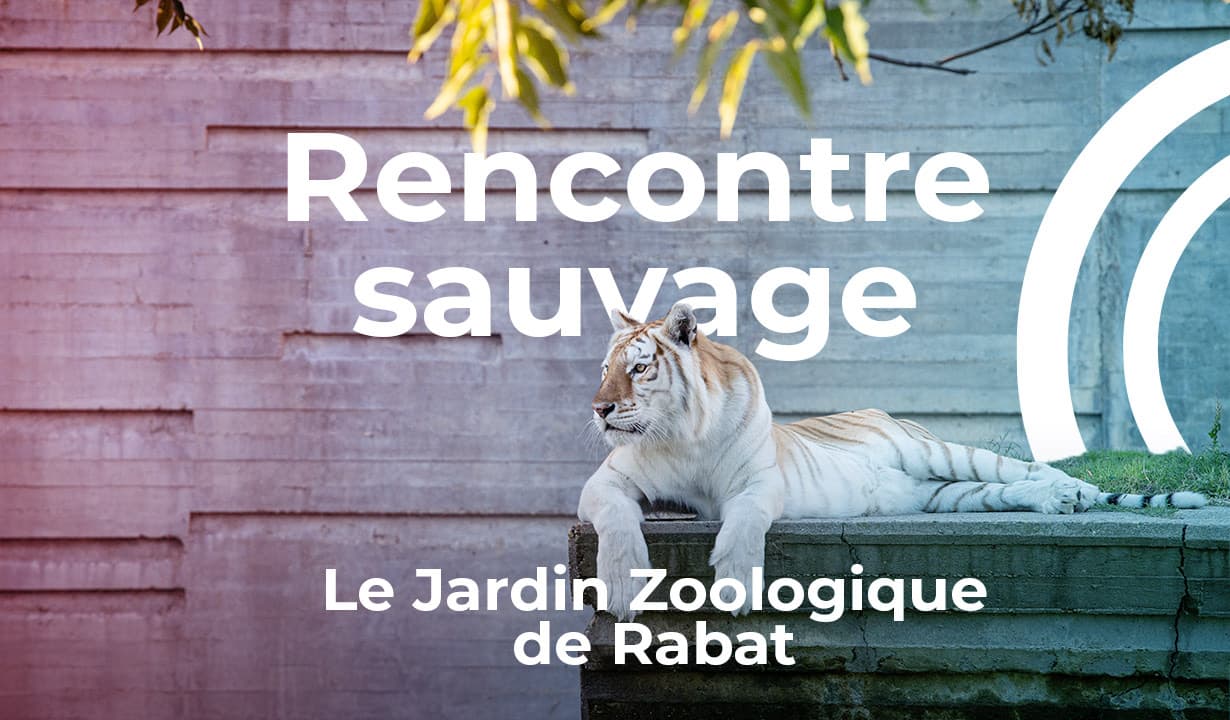 Rencontre sauvage - Le Jardin Zoologique de Rabat